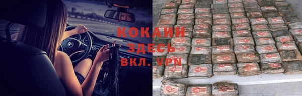 эйфоретик Баксан
