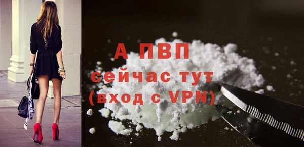 эйфоретик Баксан