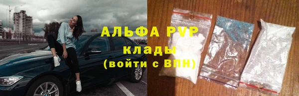 эйфоретик Баксан