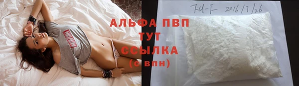эйфоретик Баксан
