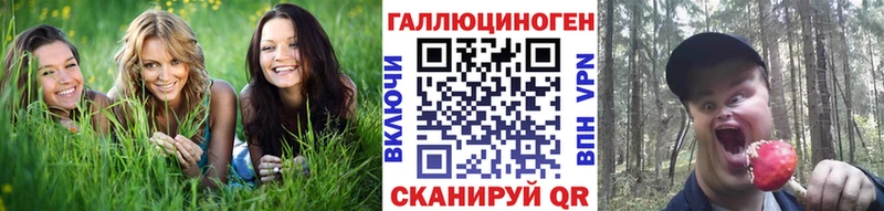 Галлюциногенные грибы ЛСД  Заозёрск 